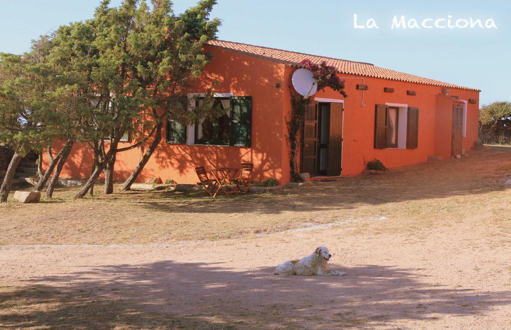 La Macciona Apartment Алиенту Екстериор снимка